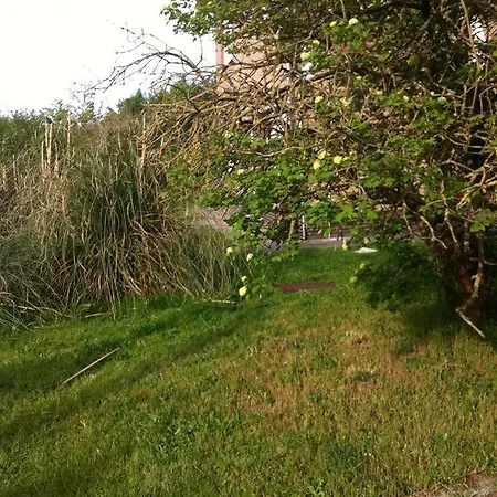 Bos En Duin Bed & Breakfast De Haan