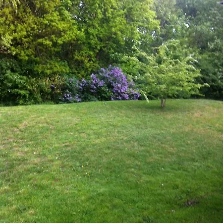 Bos En Duin * De Haan