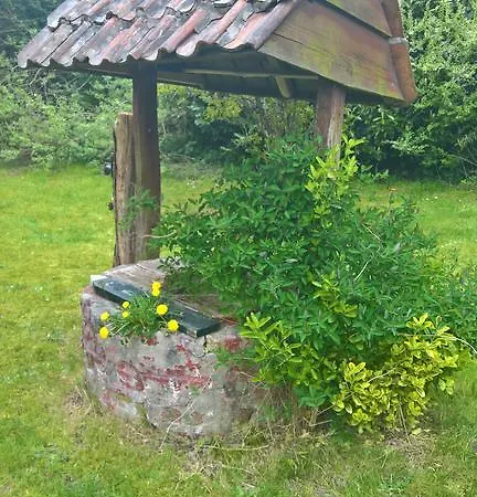 Bos En Duin