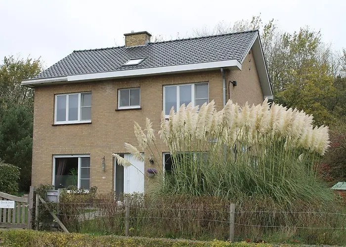 Bos En Duin Bed & Breakfast De Haan