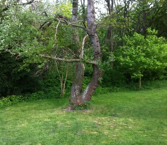 Bos En Duin Отель типа 