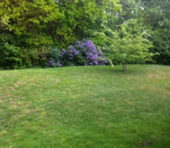 Bos En Duin * De Haan